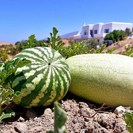 Relaxia Estate Naxos Apartment Galini  Luaran gambar