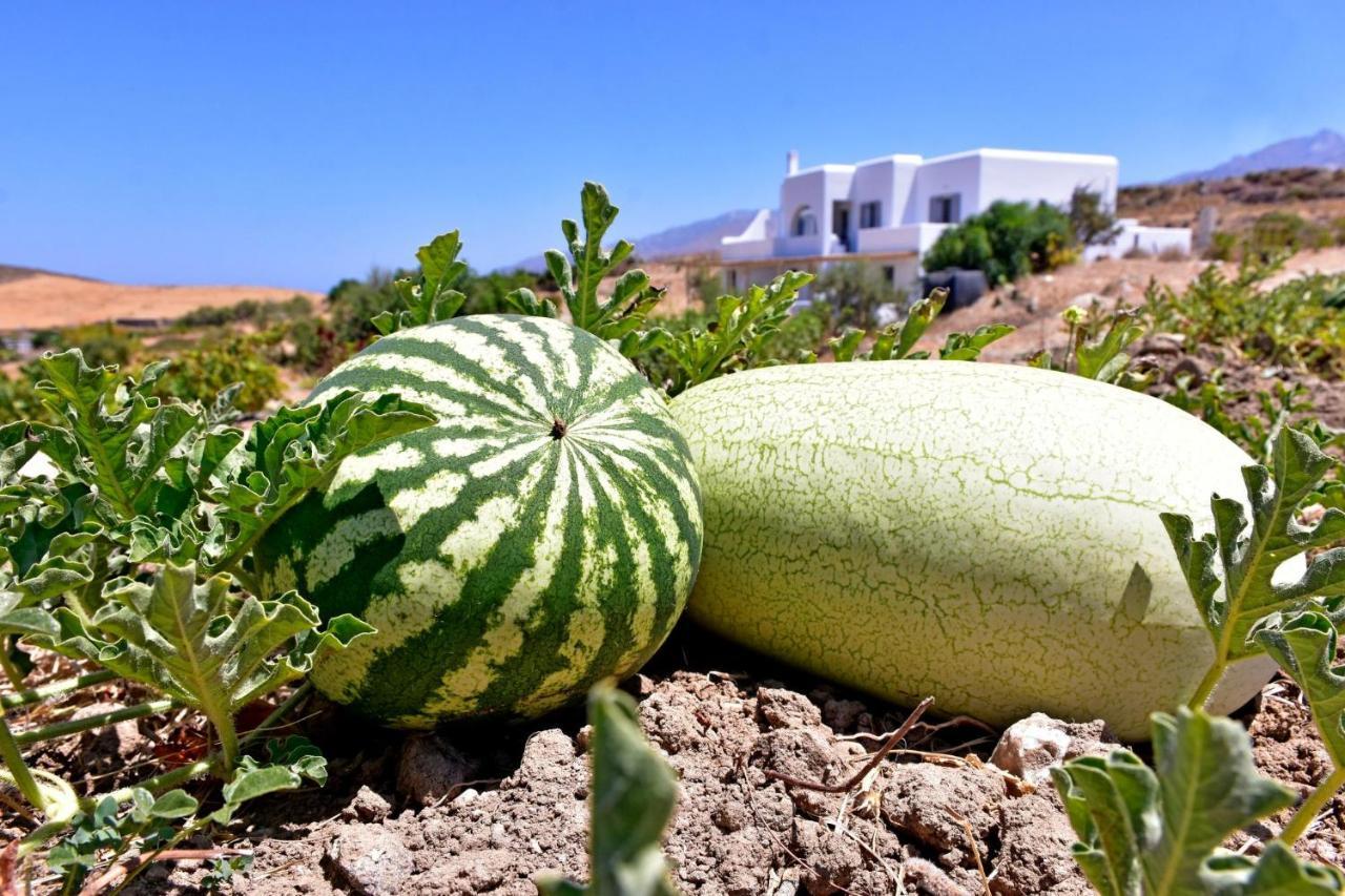 Relaxia Estate Naxos Apartment Galini  Luaran gambar